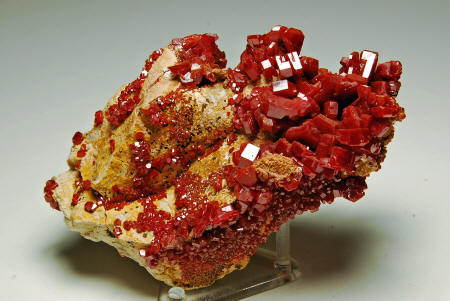 Vanadinite Large Bright Red Crystals On Black Barite Matrix Morocco 12 Cms